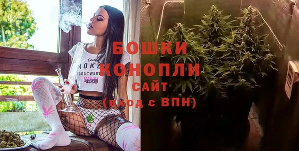 дживик Абаза