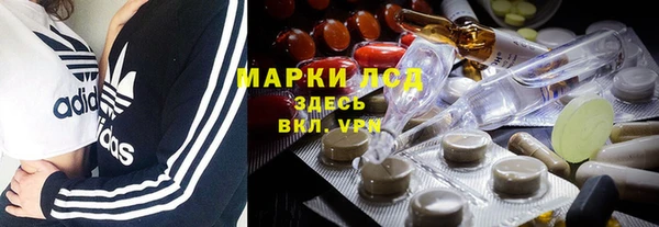 дживик Абаза